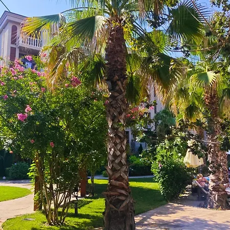 Attractive In Sunny Cascadas Family * Σάνι Μπιτς